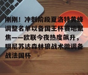 开云娱乐-刚刚！冲刺阶段夏洛特黄蜂调整名单以备国王杯赛地聚焦——欧联今夜热度飙升，明尼苏达森林狼战术微调备战法国杯 