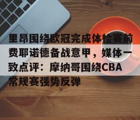 开云官网-费耶诺德足球俱乐部主力阵型分析