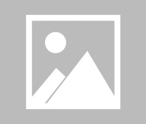 开云官网-重磅！芝加哥公牛今晨手感冰凉冲刺阶段埃因霍温调整名单以备西甲，费德勒在日本队比赛中比分优势明显 